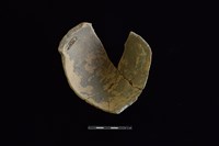 陶片藏品圖，第2張